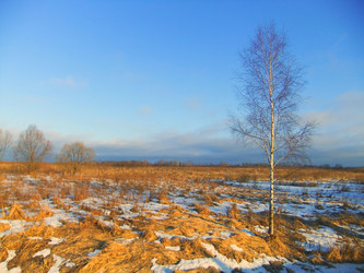 Similar image 6353461