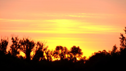 Similar image 6353462