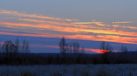 Similar image 6353465