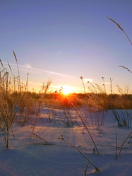 Similar image 6353466