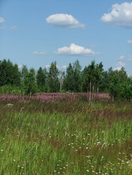 Similar image 6353467