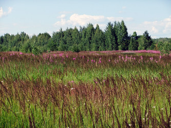 Similar image 6353468