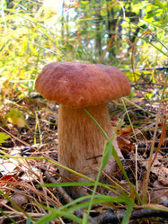 Similar image 6353470