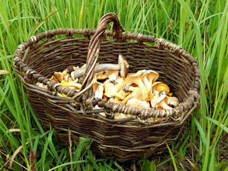 Similar image 6353480