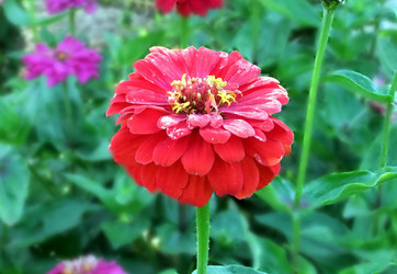 Similar image 6353481