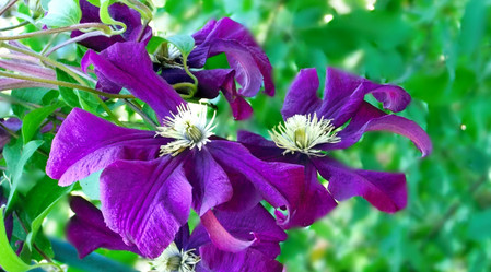 Similar image 6353483