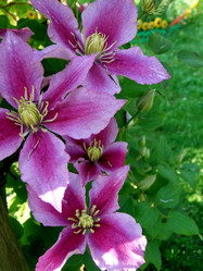 Similar image 6353485