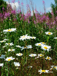 Similar image 6353486