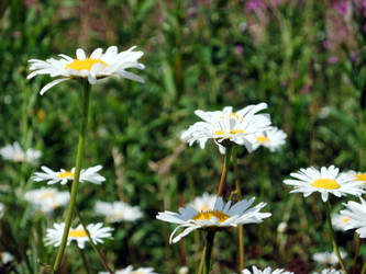 Similar image 6353490