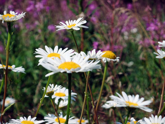 Similar image 6353494