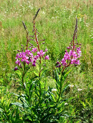 Similar image 6353496