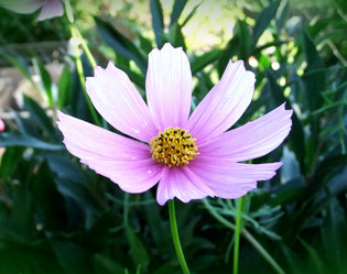 Similar image 6353498