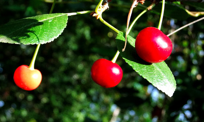 Similar image 6353502