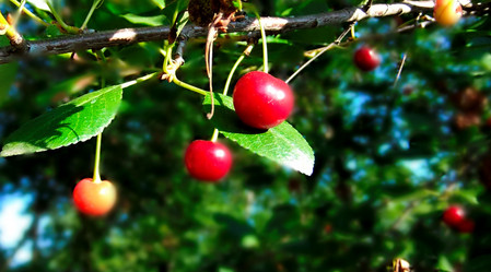 Similar image 6353504