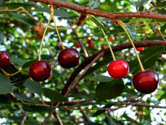 Similar image 6353507