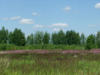 Similar image 6353518