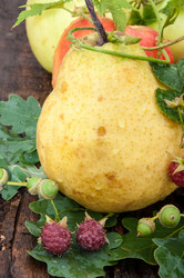 Similar image 6353520