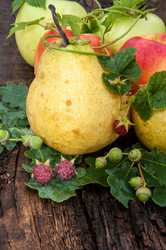 Similar image 6353521