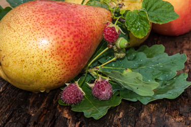 Similar image 6353534