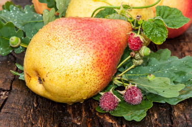 Similar image 6353535