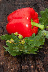 Similar image 6353546