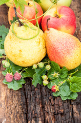 Similar image 6353547