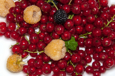 Similar image 6353553