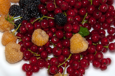 Similar image 6353565