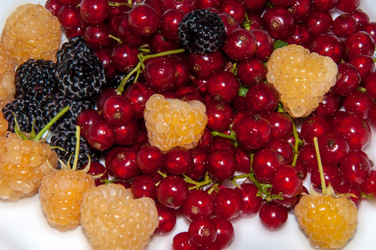 Similar image 6353568