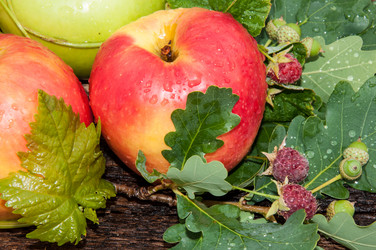 Similar image 6353576