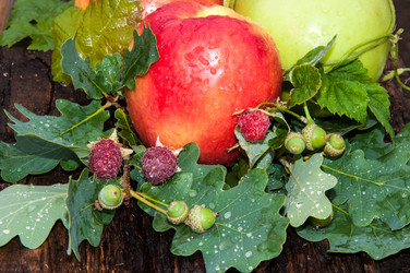 Similar image 6353578