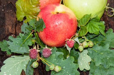 Similar image 6353581