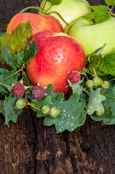 Similar image 6353583