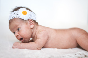 Similar image 6353629