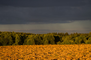 Similar image 6353630