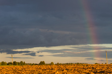 Similar image 6353631