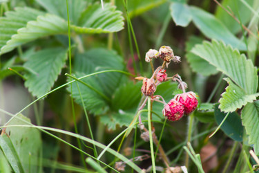 Similar image 6353637