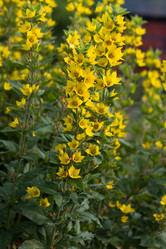 Similar image 6353638