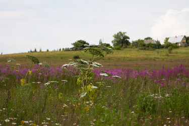 Similar image 6353640