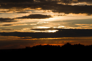 Similar image 6353642