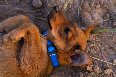 Similar image 6353644