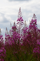 Similar image 6353650