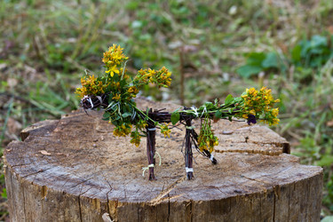 Similar image 6353735