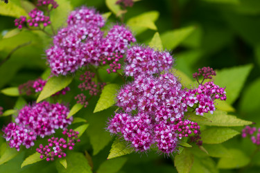 Similar image 6353737