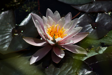 Similar image 6353744