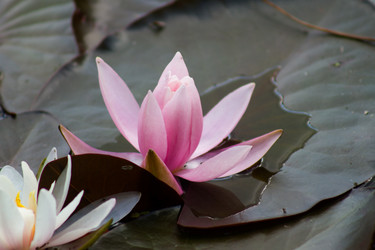 Similar image 6353745