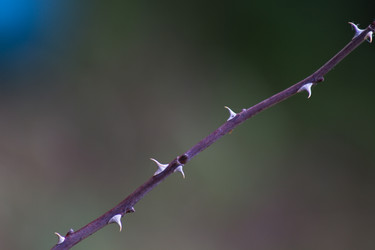 Similar image 6353748