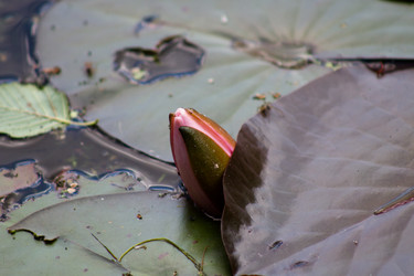 Similar image 6353757