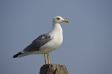 Similar image 6353759