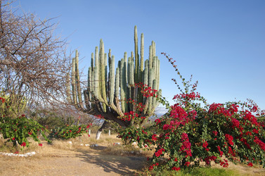 Similar image 6353779